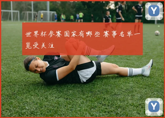 世界杯参赛国家有哪些 赛事名单一览受关注